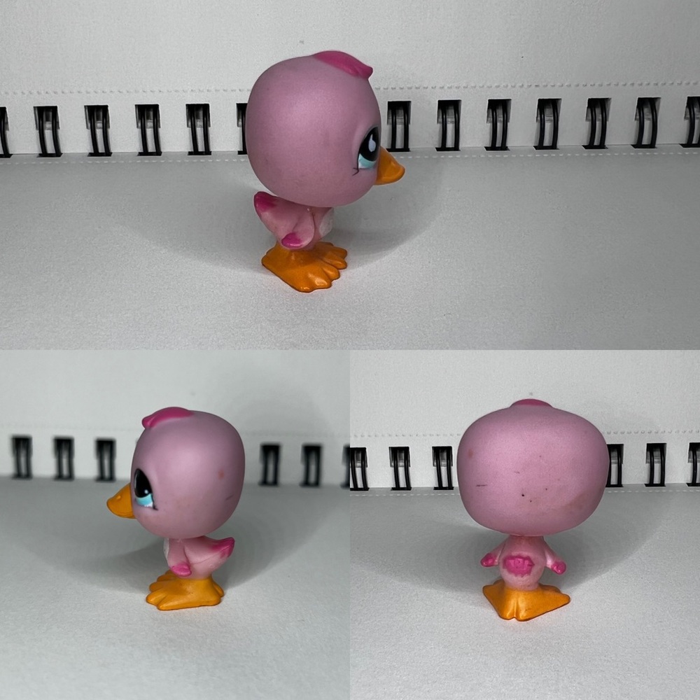 Lps duck - Picture 3 of 6